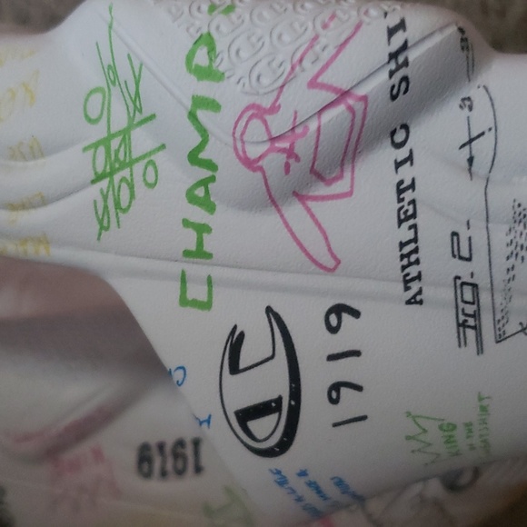 Champion slides - Picture 12 of 12